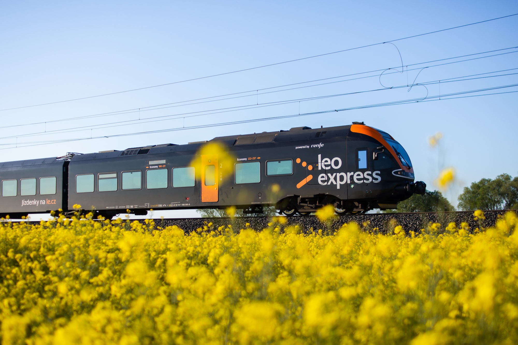 Drugi rywal PKP Intercity wjeżdża na polskie tory, Oferuje bilety za 8 zł, chwali się wynikami i wbija szpilkę w RegioJet