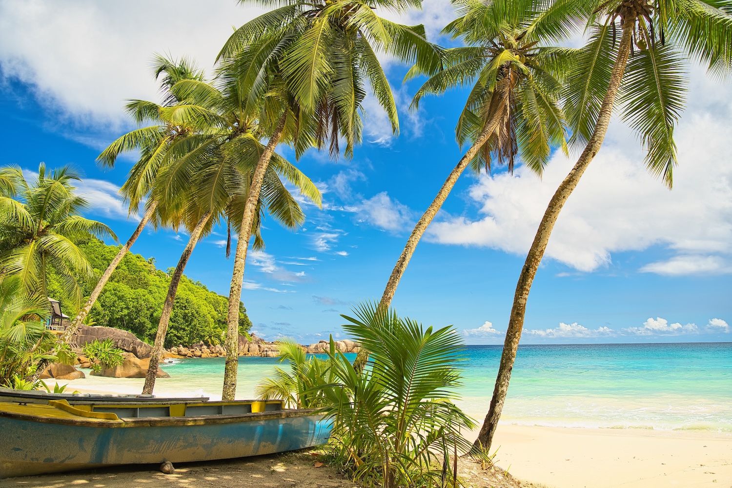 Rajskie Seszele w porze suchej 🌴 🌊 Loty i hotel z pięknym widokiem za ✨3640 PLN✨