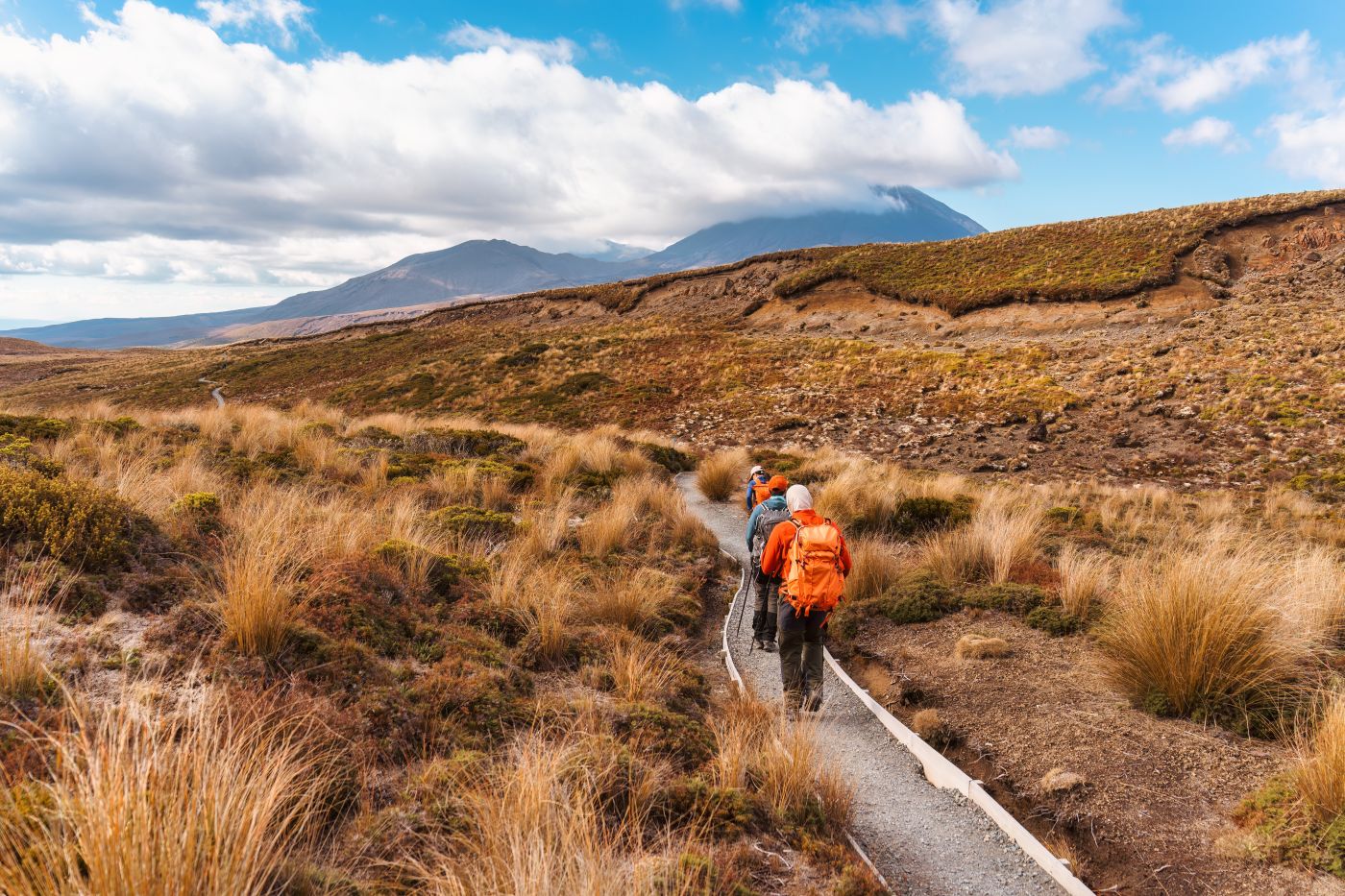 Przygoda życia! 😍 Odwiedź Kalifornię 🏄 i ruszaj na antypody 🌿 Los Angeles i Auckland w jednej podróży za 3766 PLN ✈️