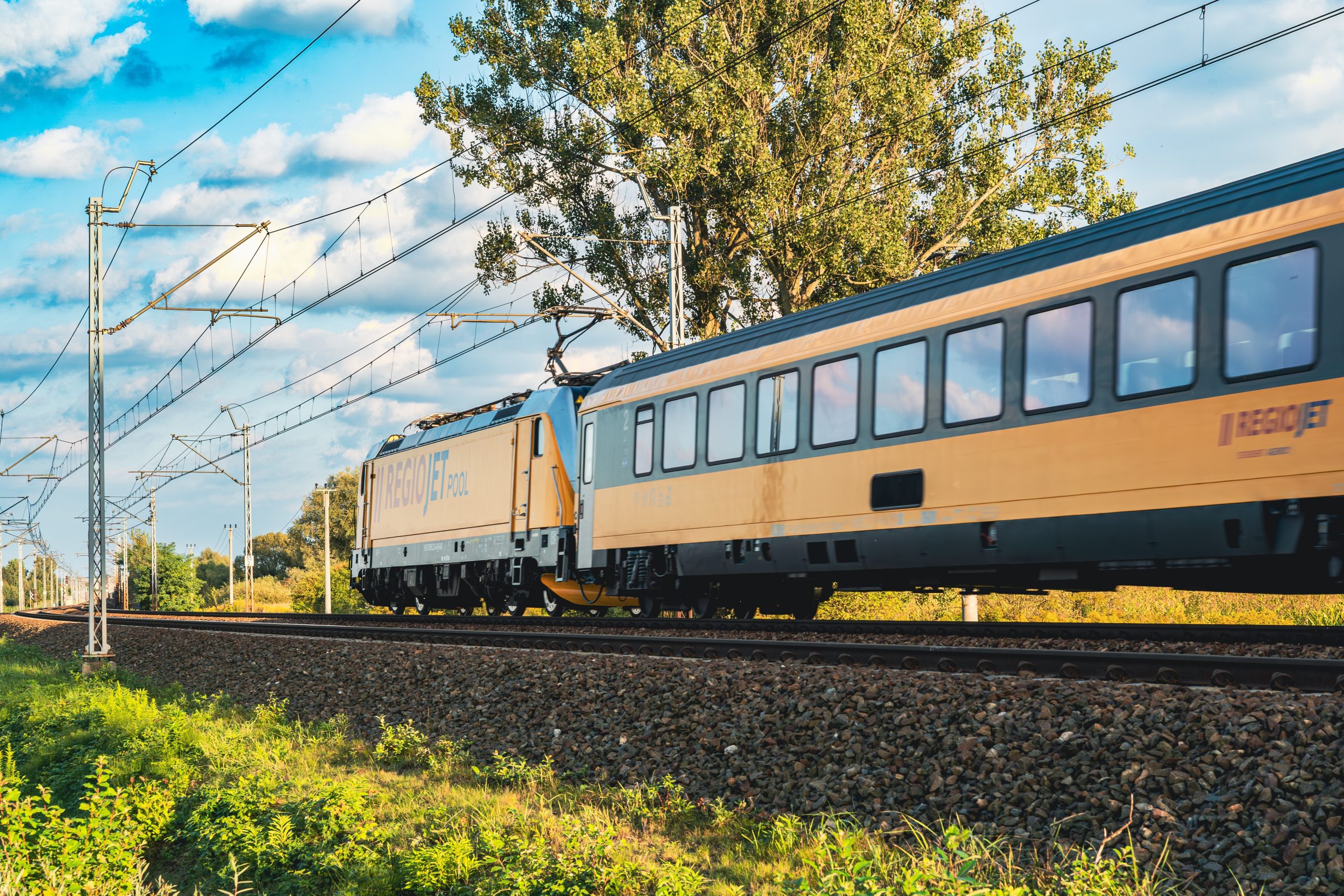 Ostra podwyżka cen w RegioJet. Bilety nawet 3 razy droższe niż w Intercity