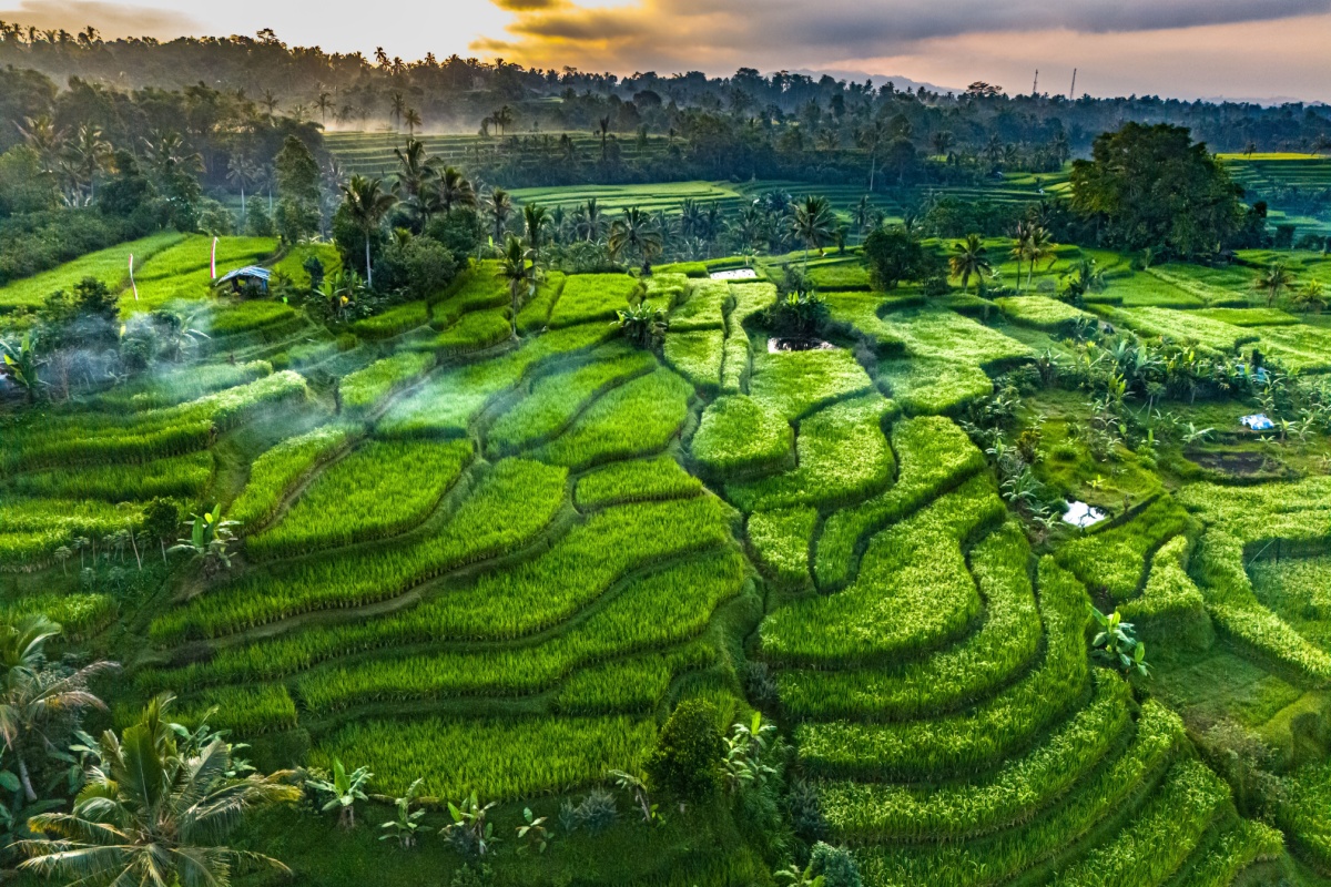 Okazja! 12 dni w sezonie na Bali za 3778 PLN🌤️😎 Loty z bagażem i noclegi w ⭐⭐⭐⭐ hotelu Sheraton