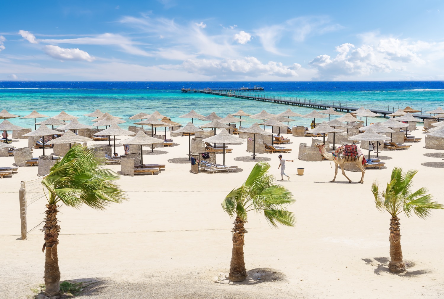 Wczasy w Egipcie 🏖️😎 7 dni z all inclusive w 4* resorcie w Marsa Alam za 2099 PLN