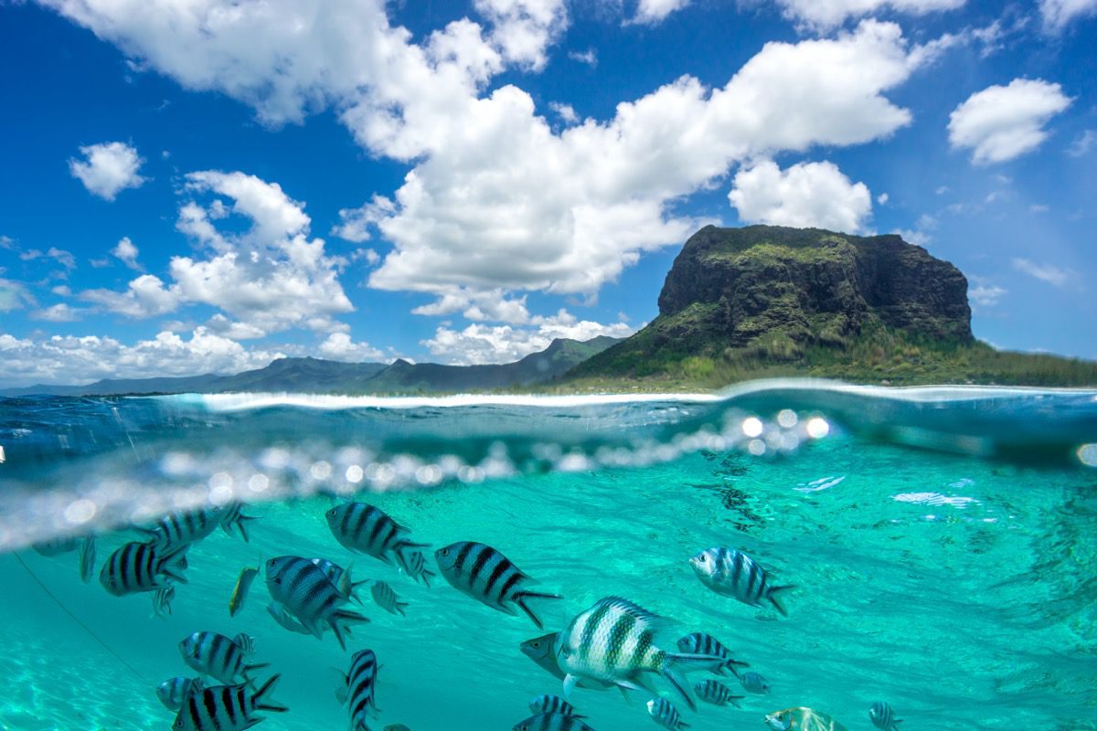 Rajski Mauritius za 3064 PLN 😍🌊 W cenie loty + apartament z balkonem🌴😎