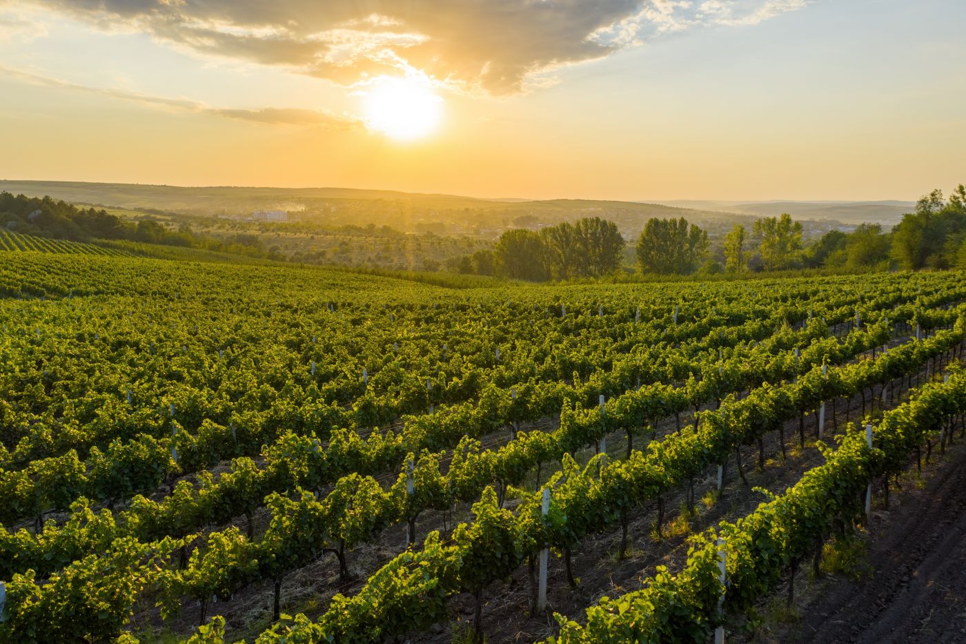 Odwiedź Cricovę – podziemne miasto wina 🍇🍷 Wakacyjna wycieczka do Mołdawii za 362 PLN ☀️🌡️