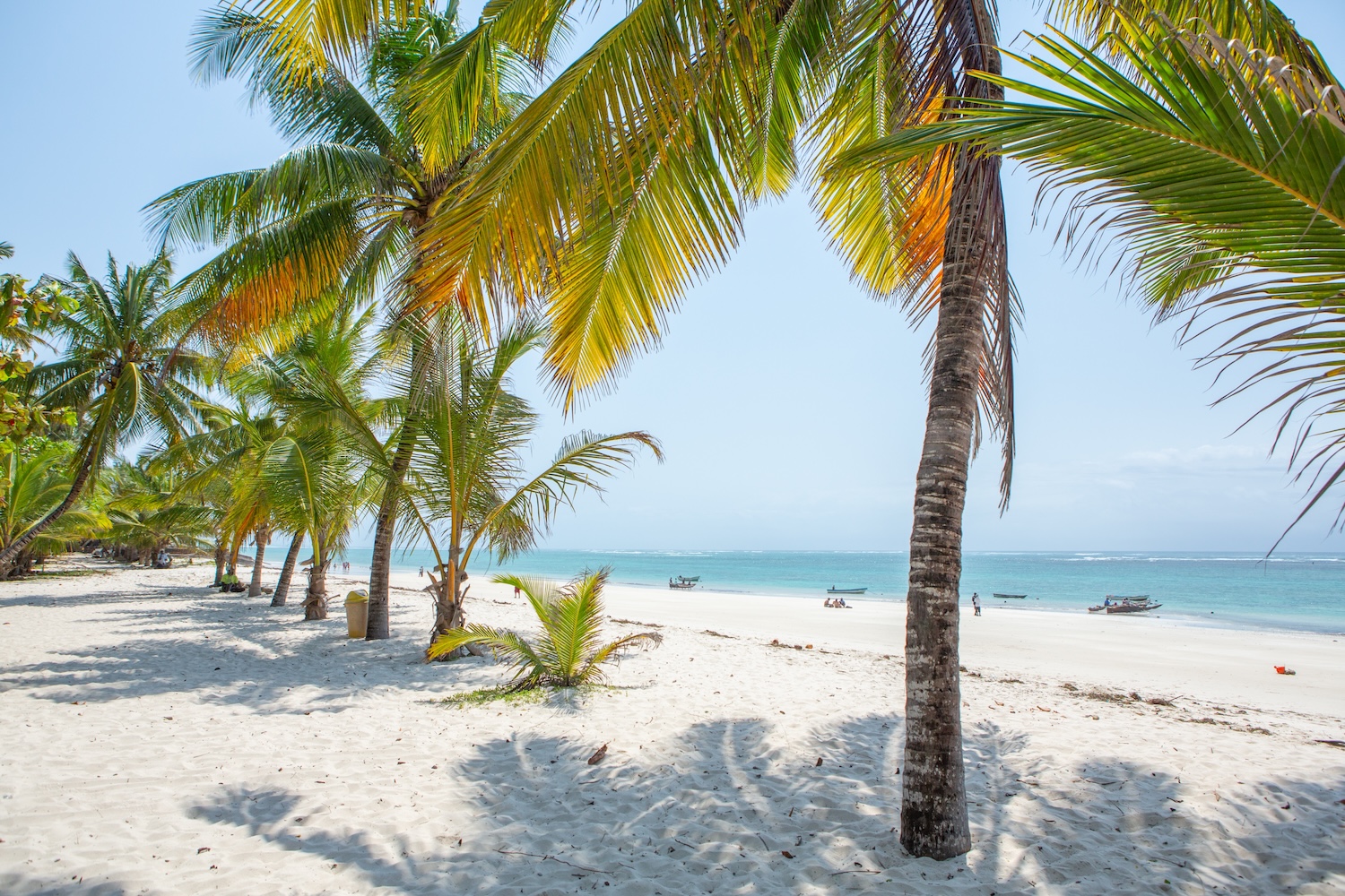 Afrykańskie słońce i biały piasek 🌴 Tydzień w Kenii za 3558 PLN 😍 Loty Turkish Airlines i 4⭐ hotel przy plaży 🏖️✨