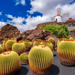 Wczasy na Lanzarote 🌊🌴 Tydzień w hotelu ze śniadaniami i kolacjami za 2399 PLN