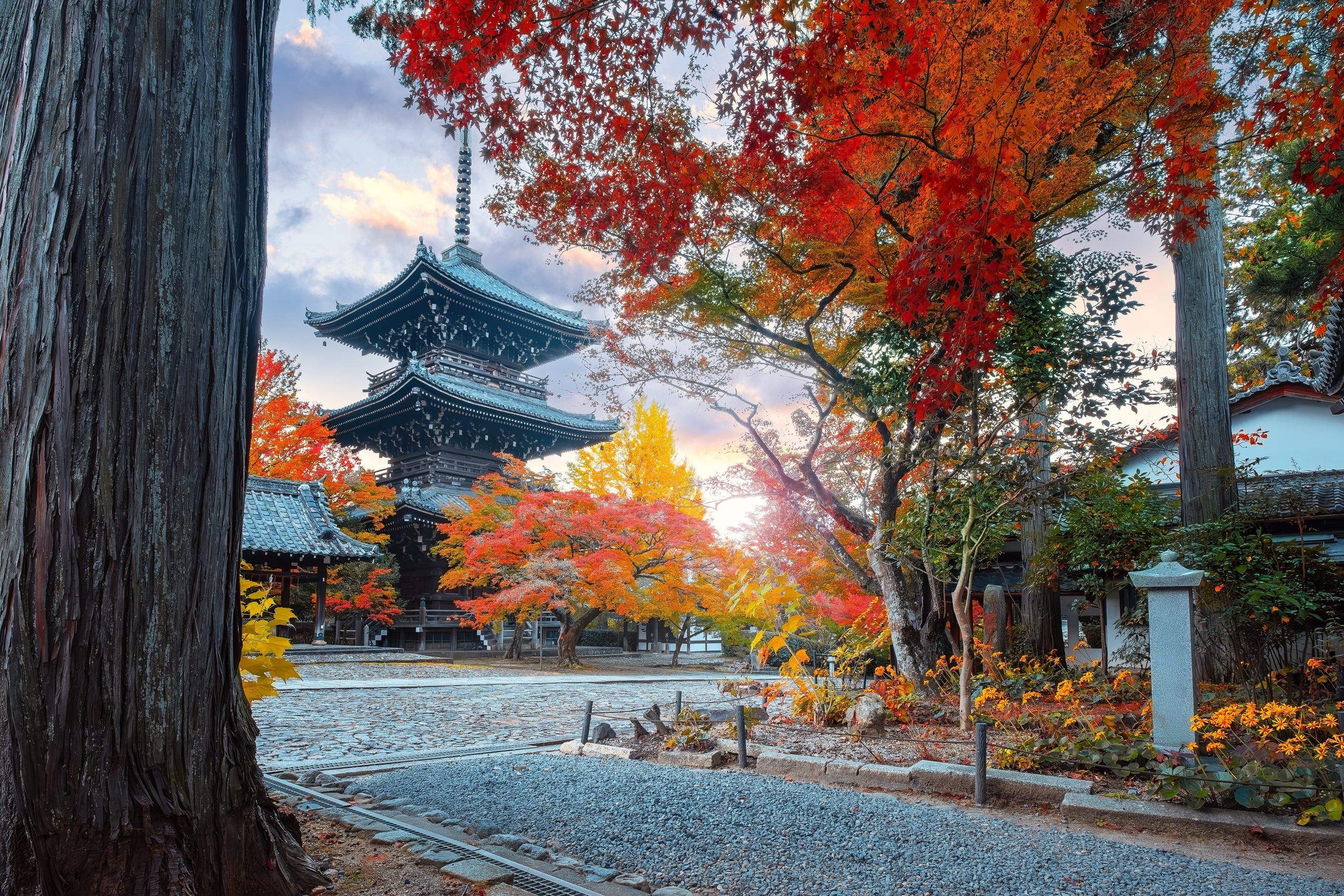 Japonia tanio❗😎 Loty Etihad Airways do Tokio z Warszawy od 2771 PLN ✈️🎎🎴