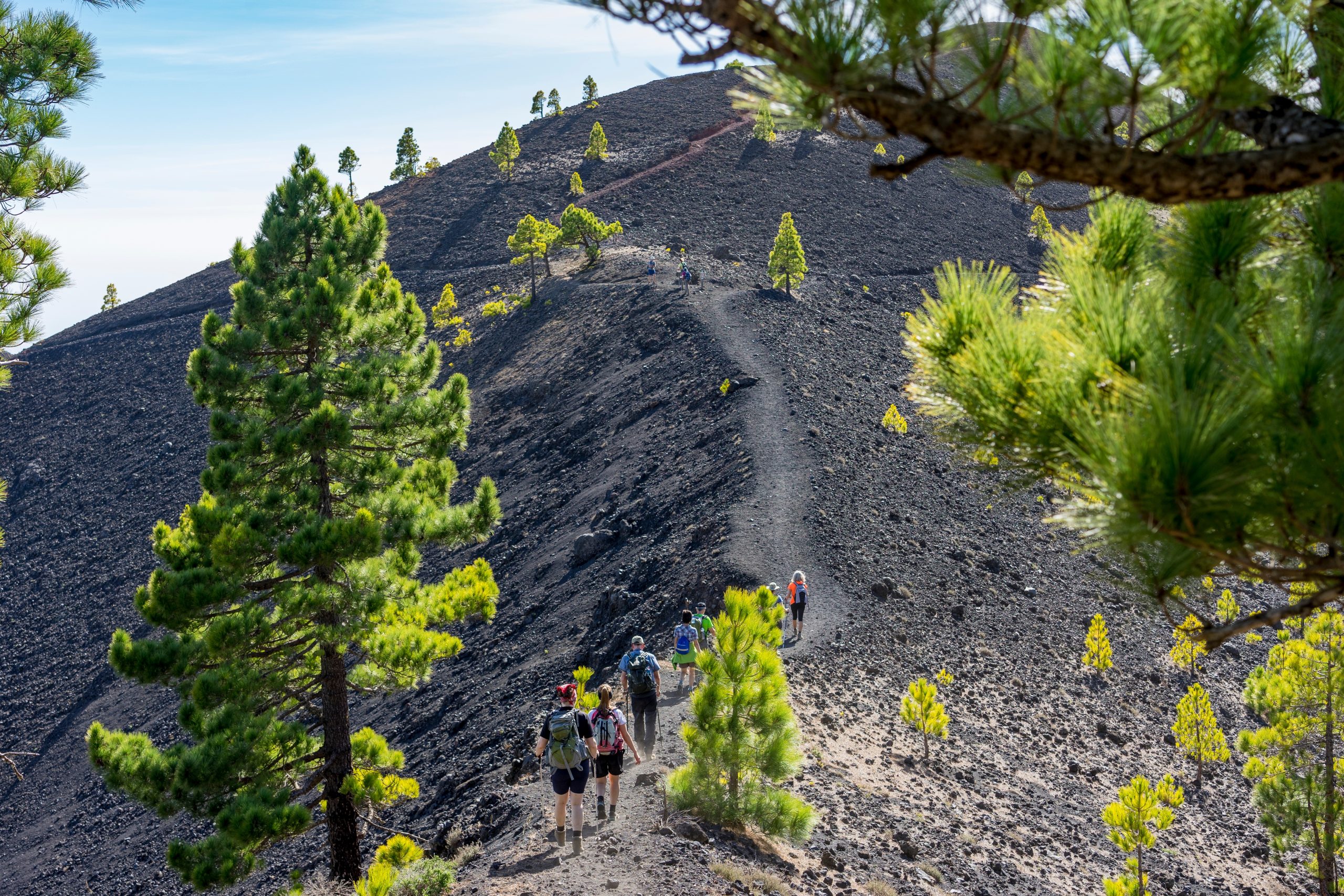 Co za wyspa 😮😎 Tydzień na La Palmie za 1976 PLN ⛱️🌴🌲🌳🌋 Loty Lufthansą i noclegi