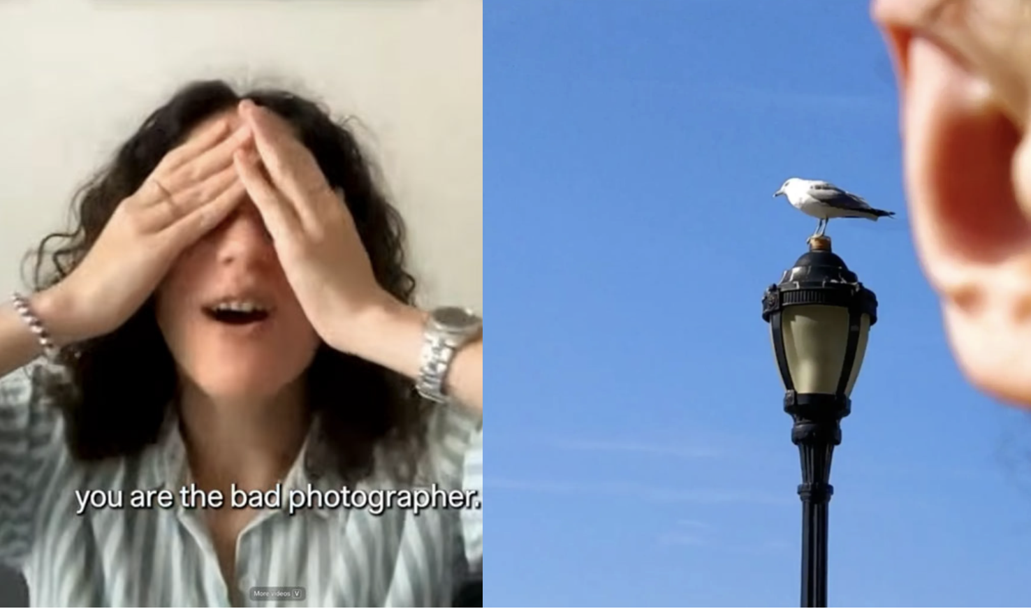Najgorszy fotograf świata wybrany. Jej zdjęcia z podróży są tak złe, że aż genialne – zobacz, za co zgarnęła 200 tys. zł