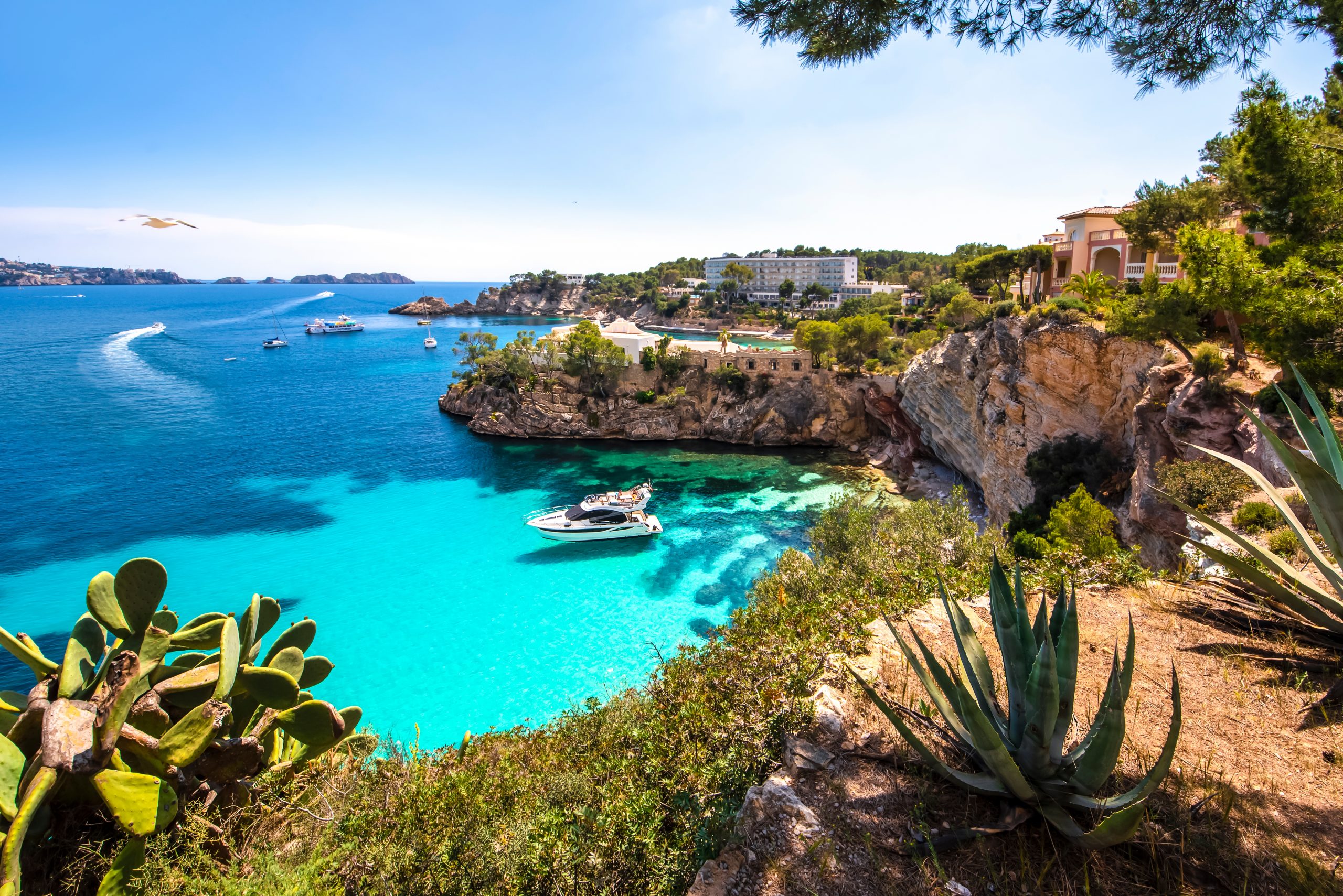 Wypoczynek na słonecznych Balearach 🇪🇸🌴 All inclusive na Majorce za 2579 PLN