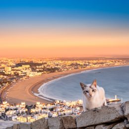 Wakacje w Maroku z widokiem na Atlantyk 🌊🏖️ Tydzień w 4* hotelu z wyżywieniem za 2663 PLN ✨ 🥯