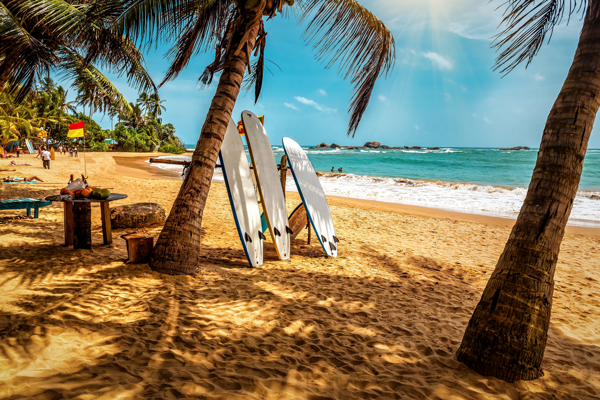 Egzotyka i tropiki 🌴🐘 Sri Lanka na 12 dni za 3050 PLN (loty + 4* hotel z basenem) 🏄👙