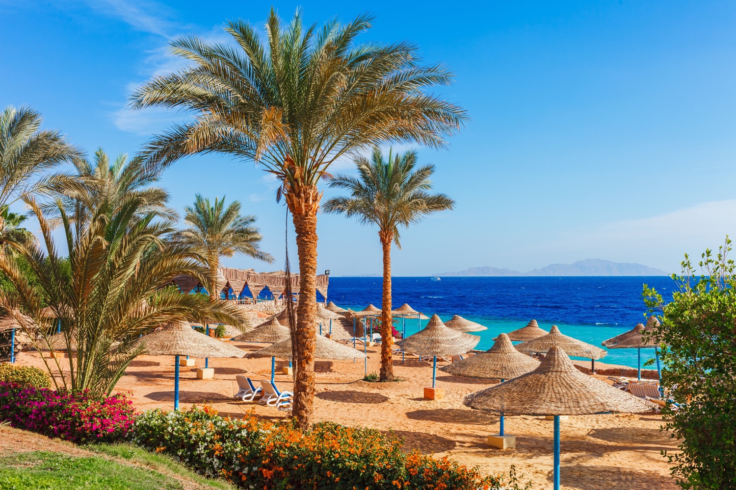 Egipt z all inclusive w 4* hotelu 🌊☀️🍹 7 dni w Hurghadzie za 2569 PLN