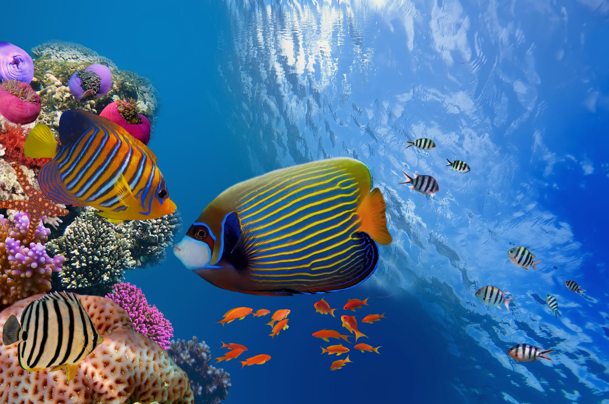 Wypocznij w ciepłym Egipcie 🏖️✈️ 9 dni w 4* resorcie w Marsa Alam za 2679 PLN
