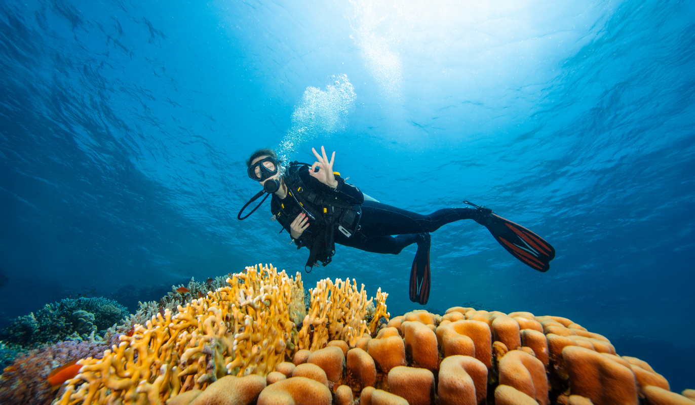 Egipt nad Morzem Czerwonym 🐠🌊 All inclusive w Marsa Alam za 2521 PLN