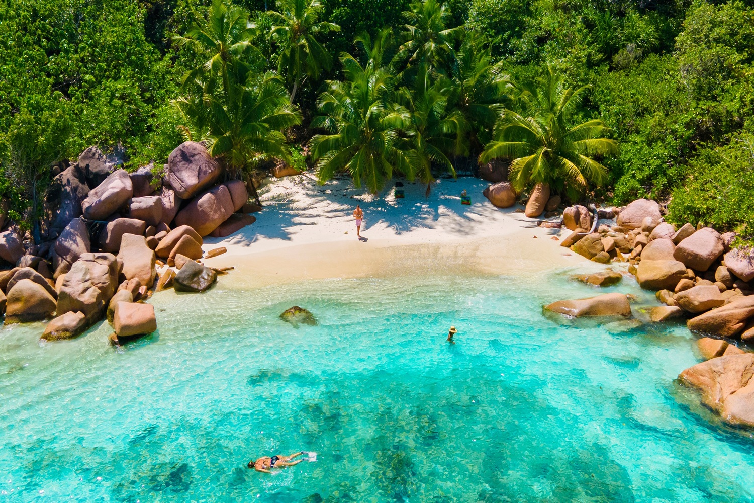 Praslin – wyspa jak z pocztówki ✨🏝️ Tydzień na Seszelach za 3528 PLN 😍💙
