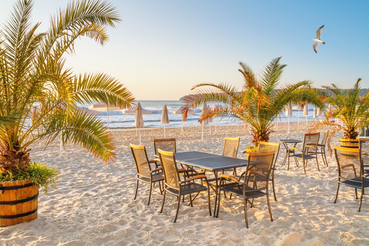 Złote lato w Bułgarii jeszcze we wrześniu 🌊🍹 Tydzień all inclusive w 4* hotelu za 1959 PLN