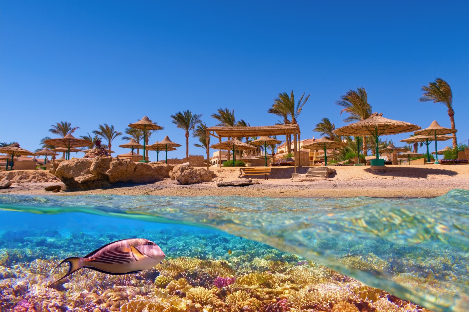 Egipski wypoczynek 🍋😎 Tydzień all inclusive w 4* hotelu w Makadi Bay za 2101 PLN