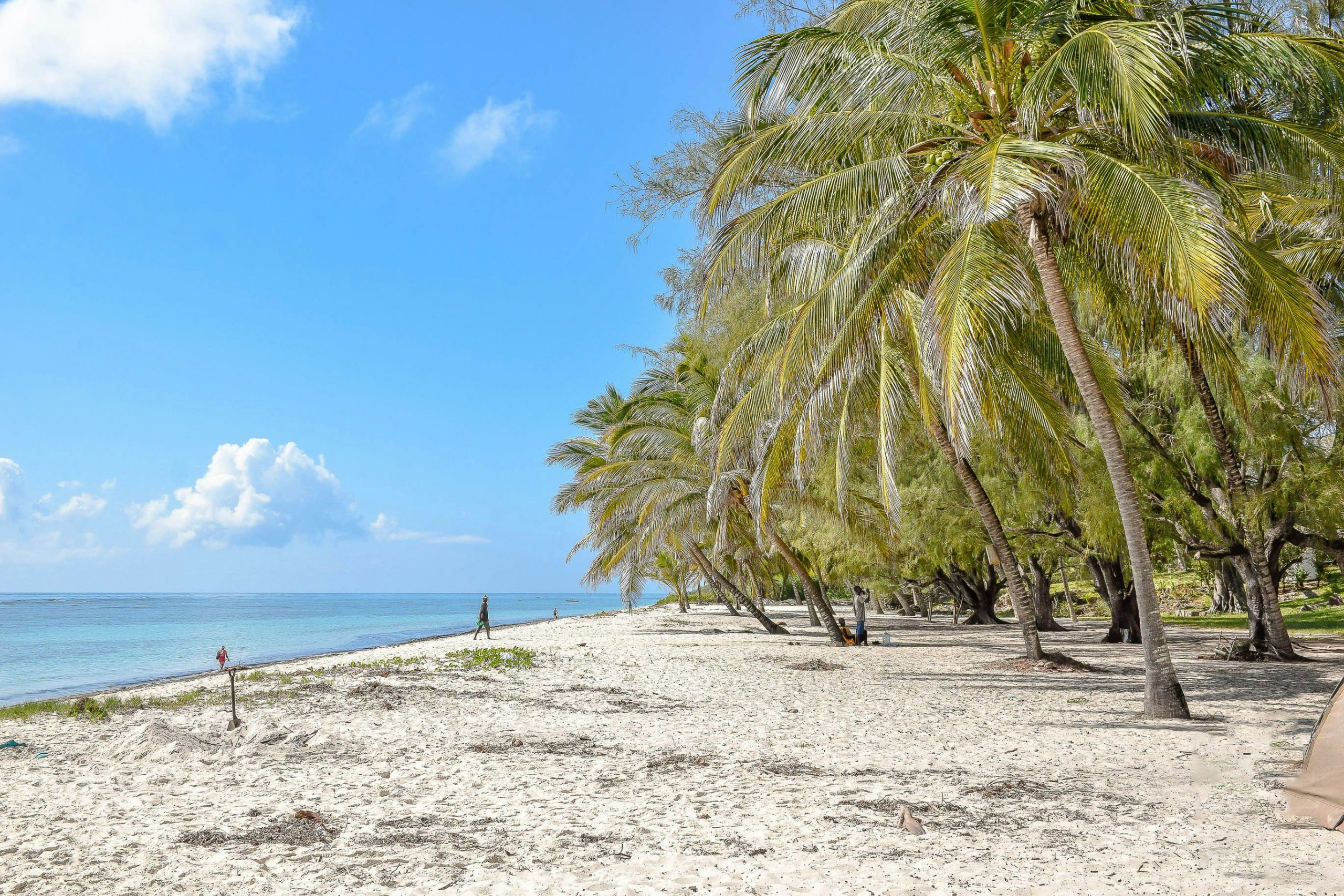 Kenia i ocean z 3 stron cypla 🌊 All inclusive w hotelu 4* AHG Lion Beach Resort za 4856 PLN