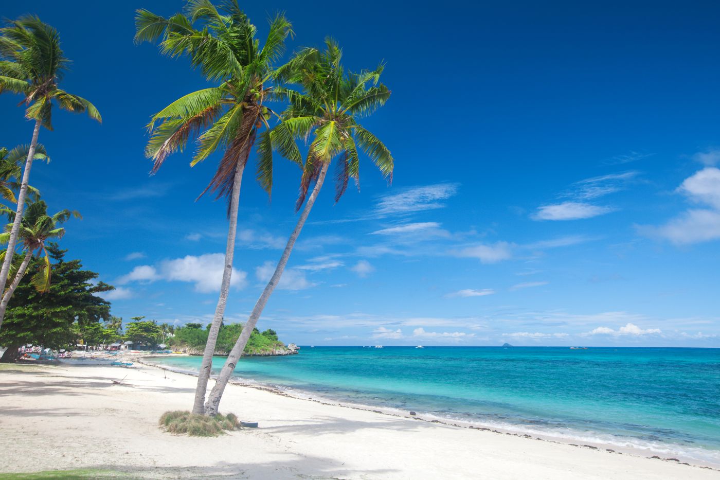 Zobacz rekiny wielorybie na Filipinach 🐋😮 Loty na Cebu (z dużym bagażem) od 2296 PLN 🏝️👙