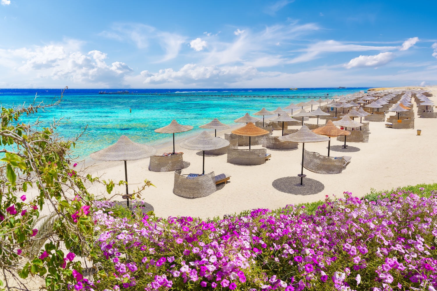 ✨Ferie z rafą koralową w tle 🐠🌊 Tydzień w 4* hotelu z all inclusive w Egipcie od 1519 PLN 😍