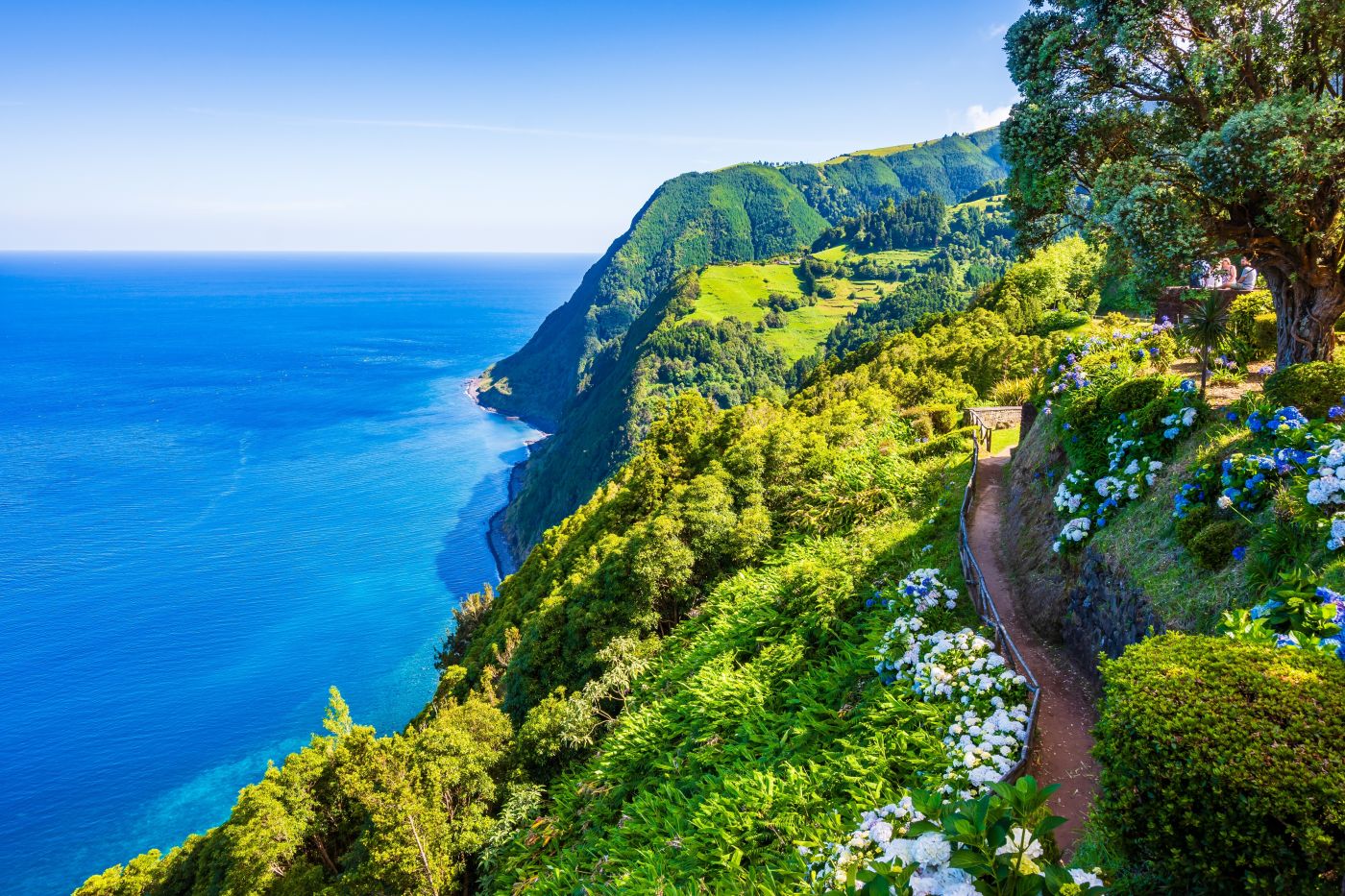 Wycieczka na Maderę za 969 PLN 🔥😮 Loty piątek – poniedziałek + ⭐⭐⭐ hotel (ze 🍴) nad oceanem 🌊