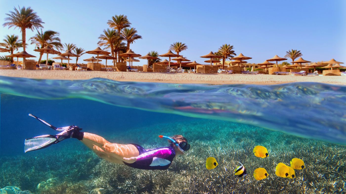Słoneczny grudzień nad Morzem Czerwonym ☀️🏖️ All inclusive w 4* hotelu w Marsa Alam za 2258 PLN 🐠🤿