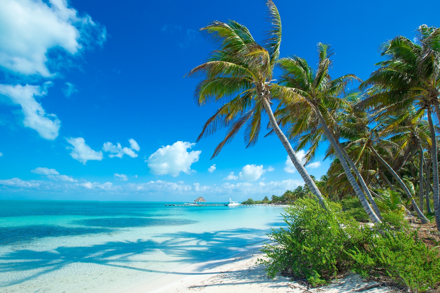 ✨Egzotyczny reset na wyspach marzeń 💙 Malediwy za 3970 PLN 🌴 Loty i hotel z pełnym wyżywieniem 🤯😍