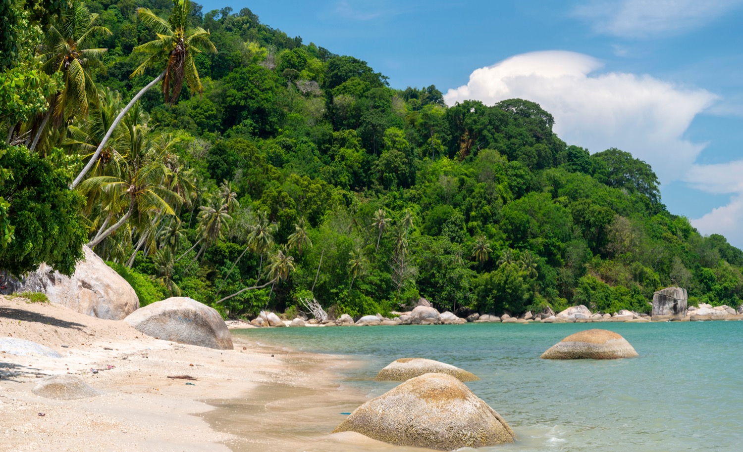 Wczasy w Malezji za 4519 PLN 🌴⛱️ Dreamlinerem do Azji i Flamingo Hotel by the Beach Penang