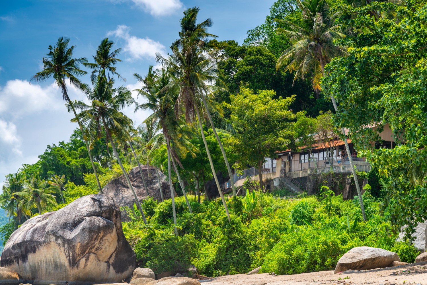 Tydzień w Malezji za 4640 PLN 🌴 Bezpośrednio PLL LOT + Flamingo Hotel by the Beach Penang ze śniadaniami