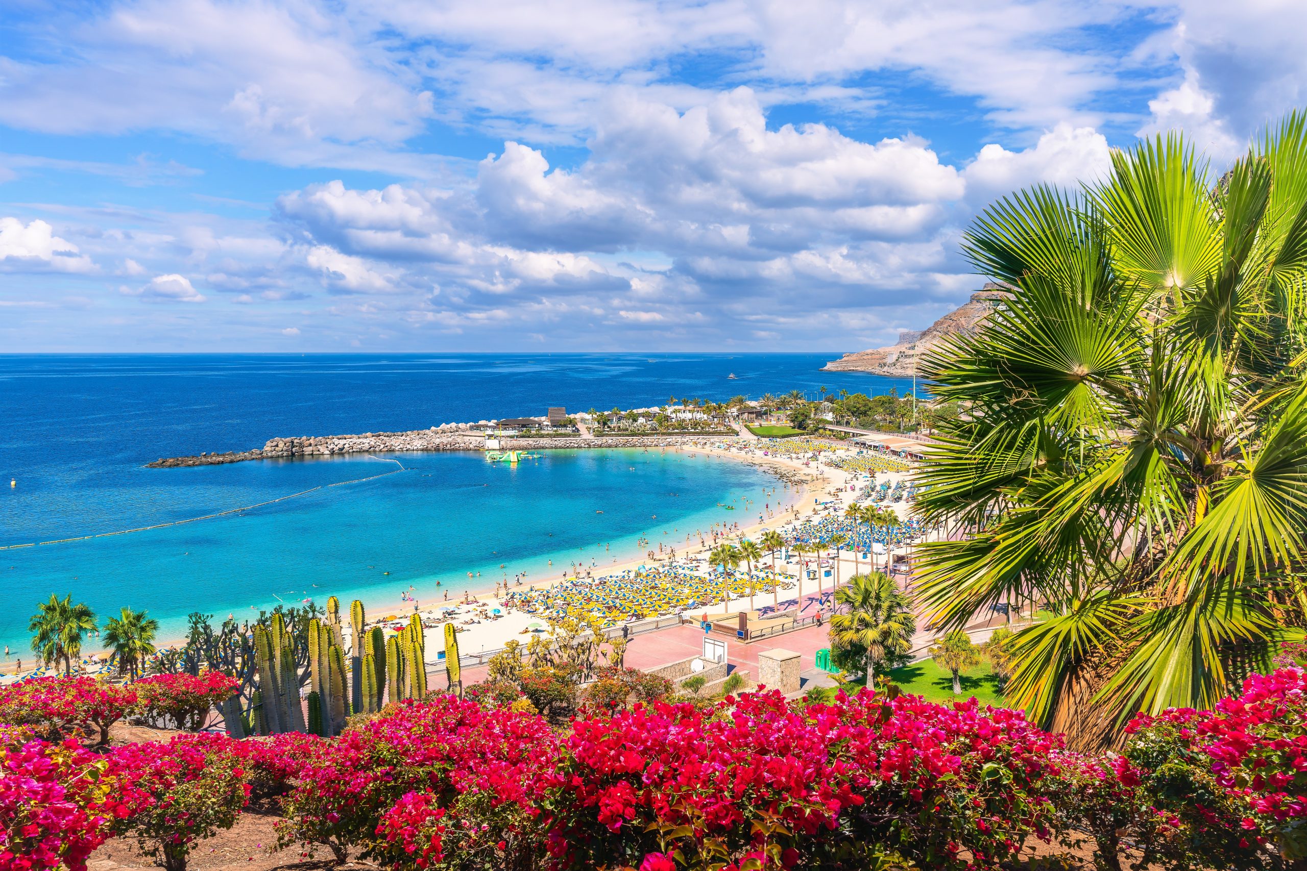 Będą nowe trasy z Polski na Gran Canarię? Szukają zastępców za 3 hitowe trasy, które zniknęły tuż przed startem